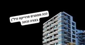 מיתוג פרוייקט נדלן